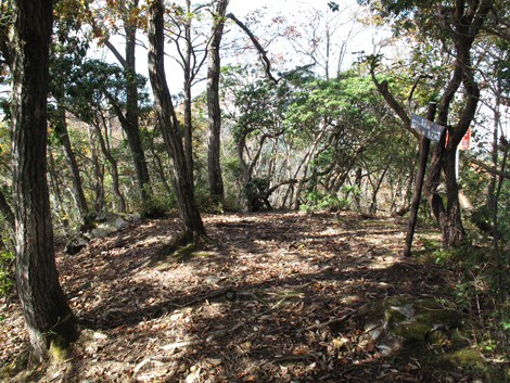 20171102hike (88)